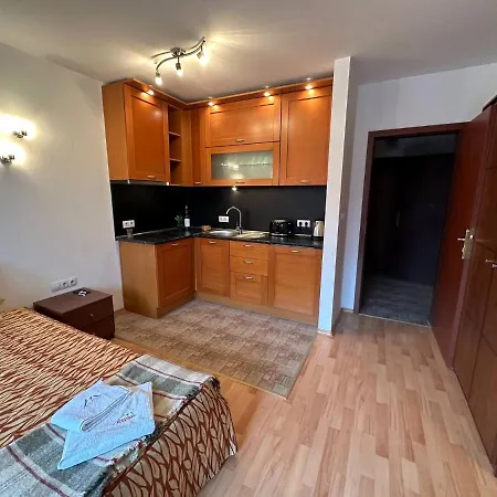 South Facing Bright Mountain View Penthouse - 2 Balconies, 300mbps Wifi, Washer Бансько