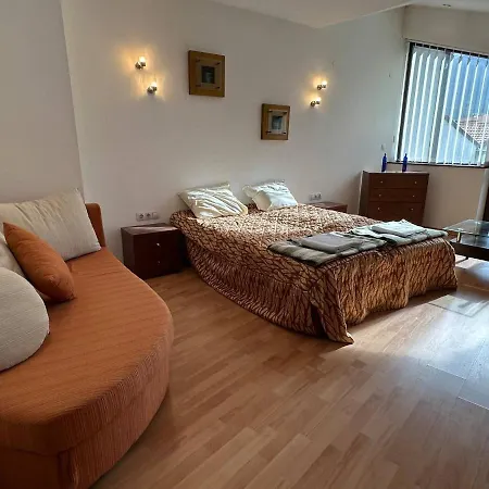 South Facing Bright Mountain View Penthouse - 2 Balconies, 300mbps Wifi, Washer