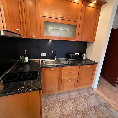 アパート South Facing Bright Mountain View Penthouse - 2 Balconies, 300mbps Wifi, Washer バンスコ