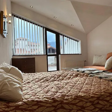 アパート South Facing Bright Mountain View Penthouse - 2 Balconies, 300mbps Wifi, Washer バンスコ