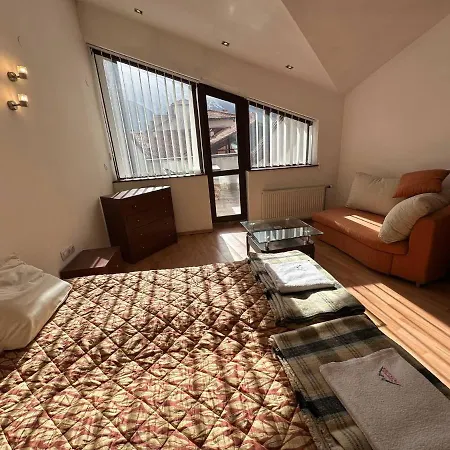 Apartament South Facing Bright Mountain View Penthouse - 2 Balconies, 300mbps Wifi, Washer Bansko