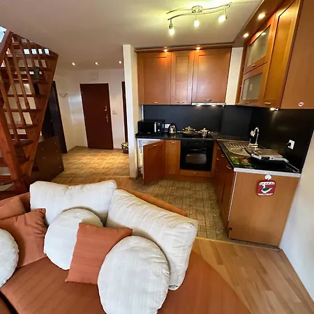 アパート South Facing Bright Mountain View Penthouse - 2 Balconies, 300mbps Wifi, Washer バンスコ