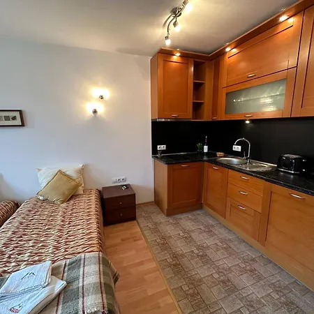 South Facing Bright Mountain View Penthouse - 2 Balconies, 300mbps Wifi, Washer バンスコ