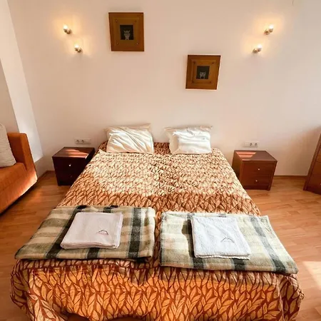 South Facing Bright Mountain View Penthouse - 2 Balconies, 300mbps Wifi, Washer *