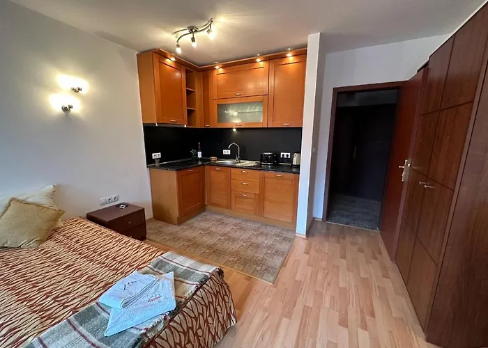 South Facing Bright Mountain View Penthouse - 2 Balconies, 300mbps Wifi, Washer 班斯科