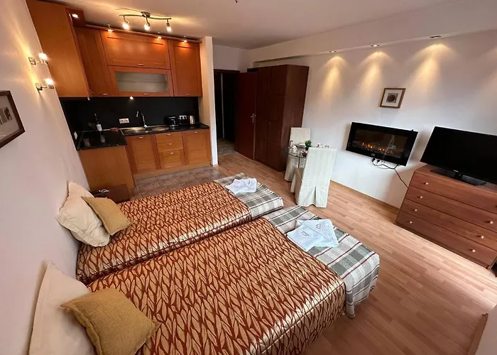 South Facing Bright Mountain View Penthouse - 2 Balconies, 300mbps Wifi, Washer *