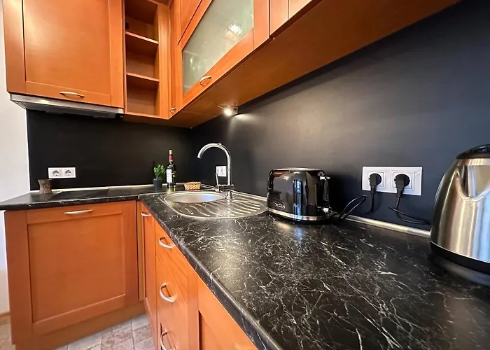 South Facing Bright Mountain View Penthouse - 2 Balconies, 300mbps Wifi, Washer Banszko