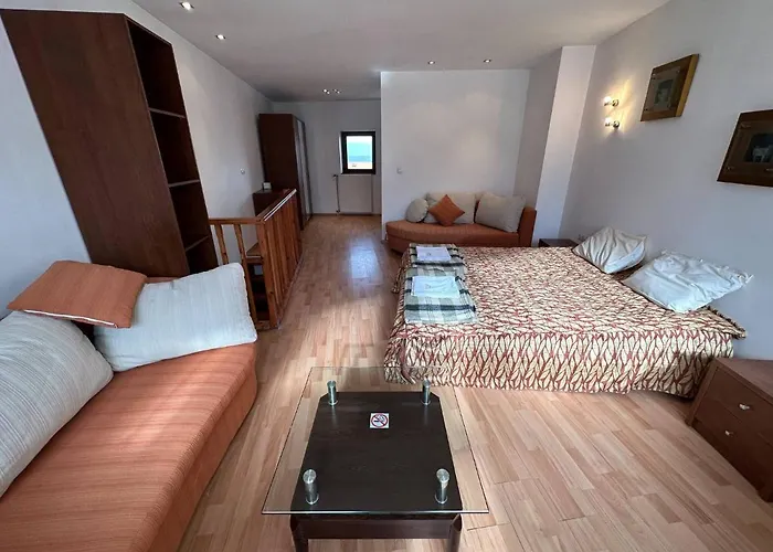 South Facing Bright Mountain View Penthouse - 2 Balconies, 300mbps Wifi, Washer *