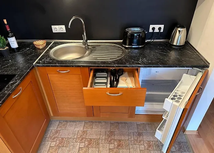 South Facing Bright Mountain View Penthouse - 2 Balconies, 300mbps Wifi, Washer 公寓 *