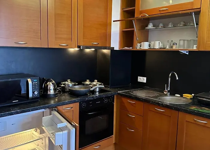 South Facing Bright Mountain View Penthouse - 2 Balconies, 300mbps Wifi, Washer Banszko