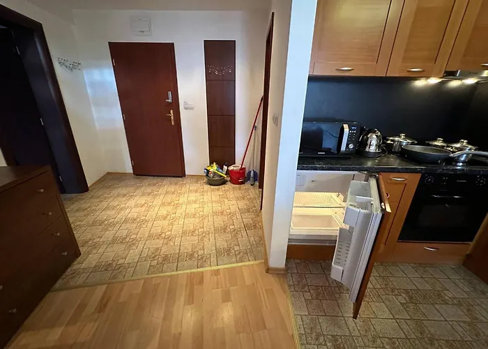 South Facing Bright Mountain View Penthouse - 2 Balconies, 300mbps Wifi, Washer 公寓 *