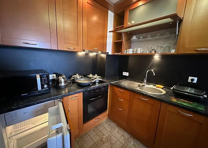 公寓 South Facing Bright Mountain View Penthouse - 2 Balconies, 300mbps Wifi, Washer 班斯科