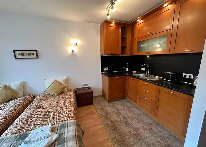 South Facing Bright Mountain View Penthouse - 2 Balconies, 300mbps Wifi, Washer 班斯科