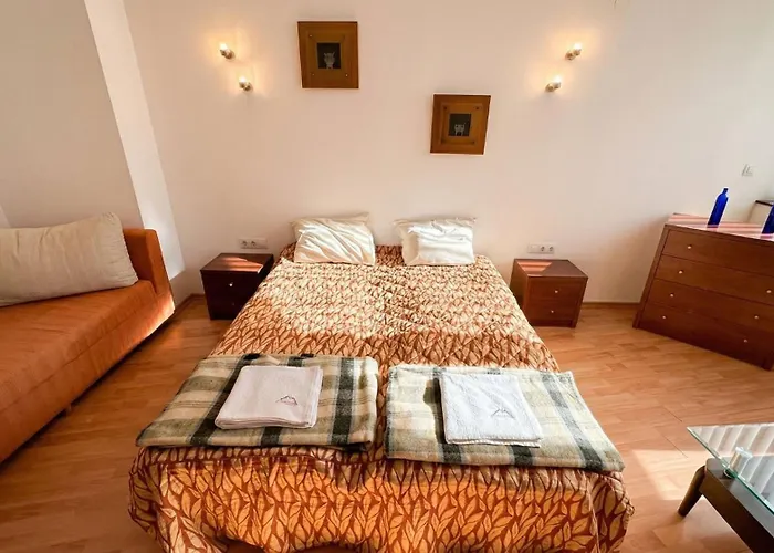 South Facing Bright Mountain View Penthouse - 2 Balconies, 300mbps Wifi, Washer *