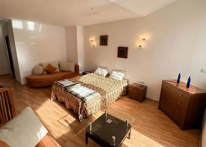 South Facing Bright Mountain View Penthouse - 2 Balconies, 300mbps Wifi, Washer Banszko